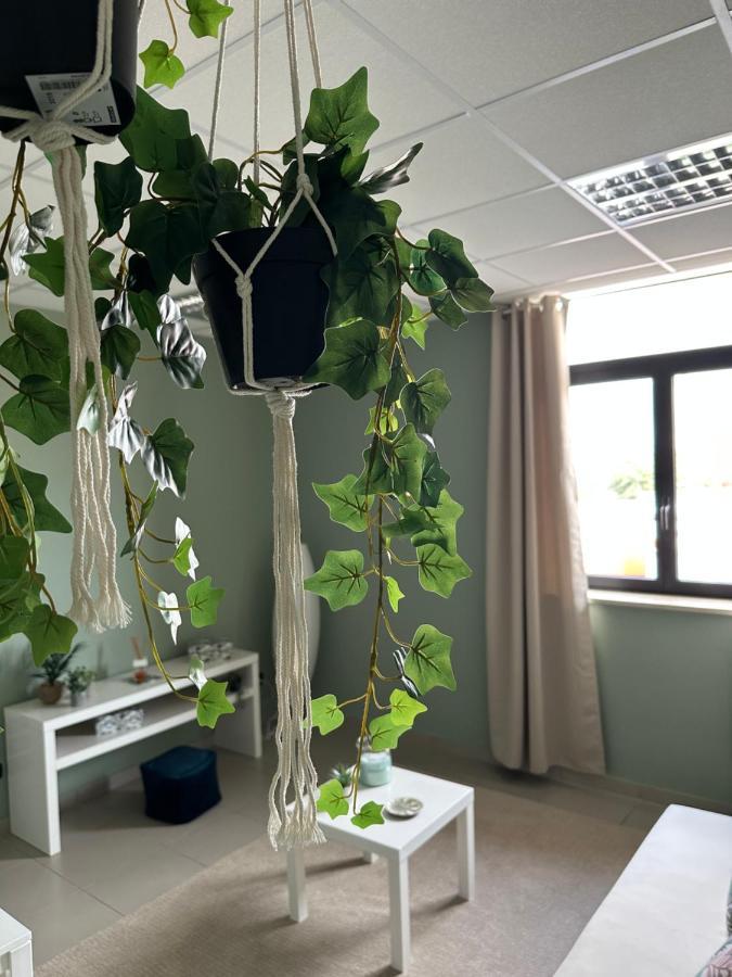 Botanical Suite Bari Luaran gambar